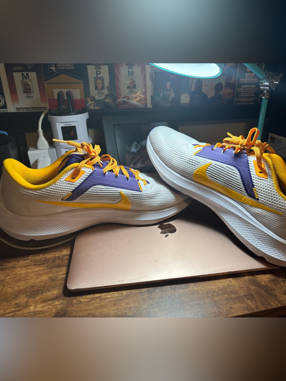 Nike LSU Pegasus 40 running shoes